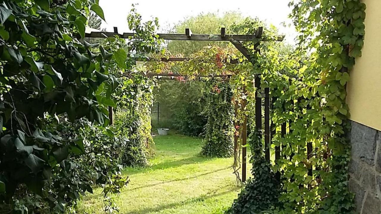 Genesungsort Landhaus Dammert Oppach Kültér fotó